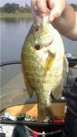 img1314936788297-2.jpg
