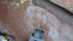 DSC01750.jpg