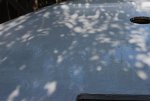 DSC_0471.jpg