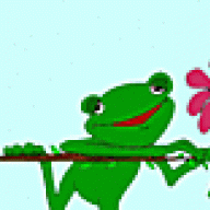 Txfroggy