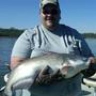 bigmoose123
