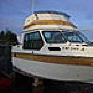 newfie11