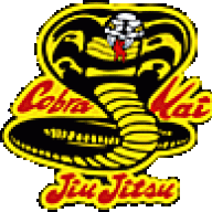 JoeJITSU