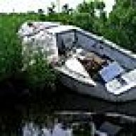 CFISHN
