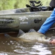 HOUSETACKLE