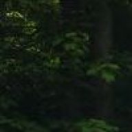 Hoam_Skooled