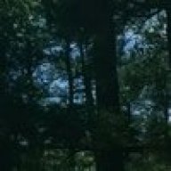 Travmad804