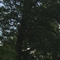 Dead_Goldstar