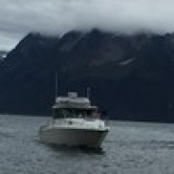 kingsfisherman