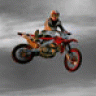 450xDaD