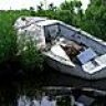 CFISHN
