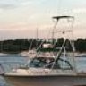 DownToFish1