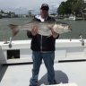 Rockfishkiller