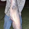 OkieFromMuskogee