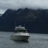kingsfisherman