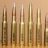 Loaded Bullet