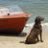 Bay Boater