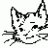 MV.Cats.Meow