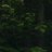 Hoam_Skooled