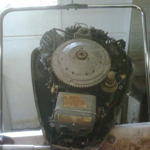 glastron 19