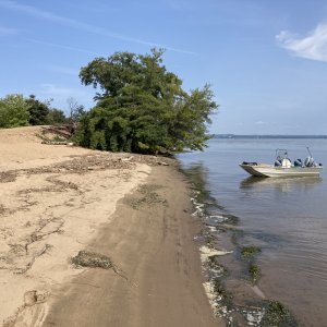 IMG_2142.jpeg
