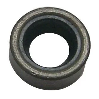 Oil Seal
