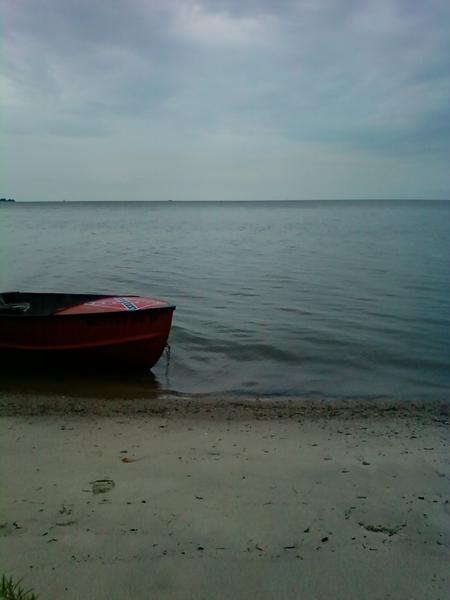 woodtick island