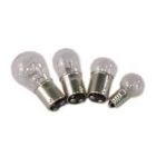 Seasense Replacement 12 Volt Bulbs
