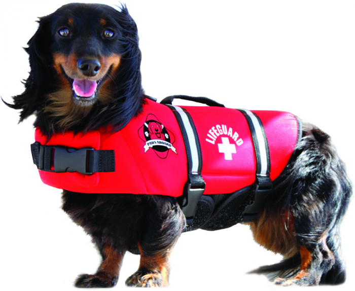 Red Lifeguard Neoprene Doggy Life 