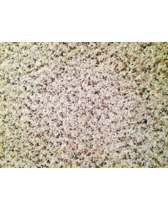 Syntec Dynamo Carpet, 8' x 15', Vanilla Spice small_image_label