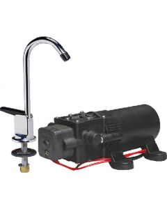Rv 1.1 Wps/Faucet Combo 12V - Wps Water Pump & Faucet Combo 