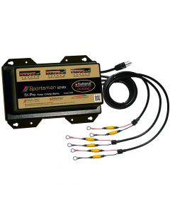 Dual Pro Sportsman Series Battery Charger - 30A - 3-10A-Banks - 12V-36V small_image_label