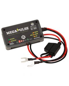 Megapulse VEE System MK5 Battery Degradation Eliminator